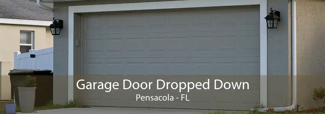 Garage Door Dropped Down Pensacola - FL