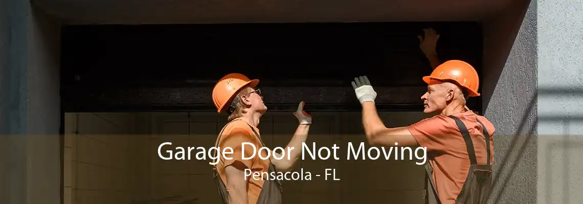 Garage Door Not Moving Pensacola - FL