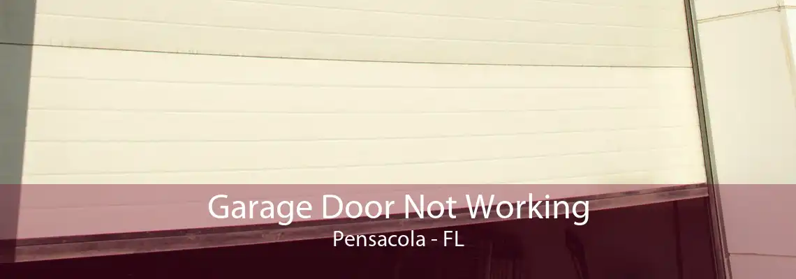 Garage Door Not Working Pensacola - FL