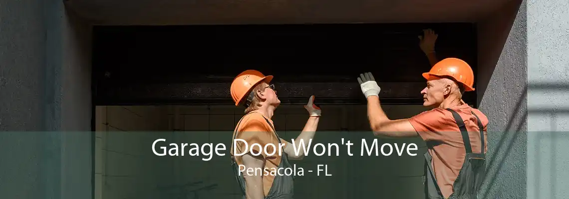 Garage Door Won't Move Pensacola - FL